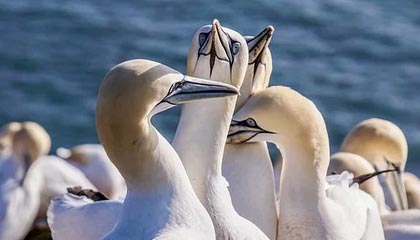 天津高价上海医保提取2025的最新政策(2025年天津上海医保怎么提取现金分享)