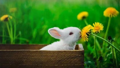 高价回收医保卡余额联系方式深圳的简单介绍